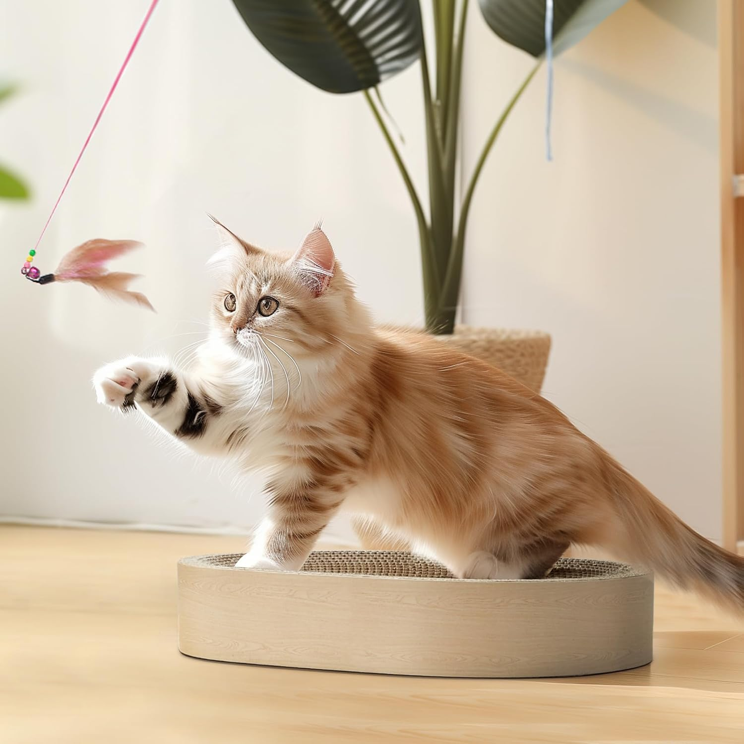 Comsaf Cat Scratching Board for Indoor Cats - Cardboard Scratch Pad, Oval Scratcher Bed for Kittens, Durable Bowl Circle, Furniture Protector from Claws image number 3