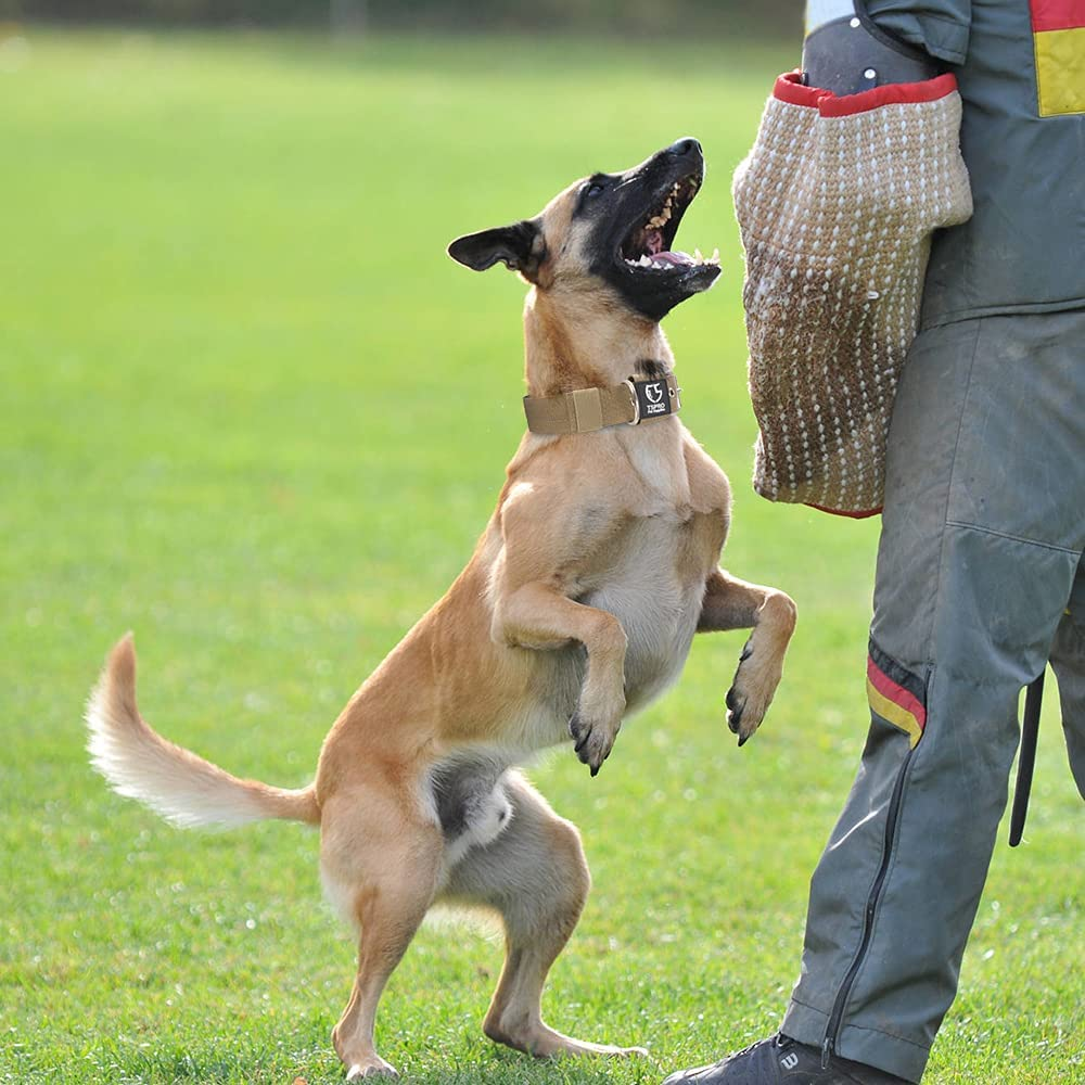 TSPRO Tactical Dog Collar 1.5 Inch Wide Dog Collar Military Grade Strong Dog Collar Thick Dog Collar Heavy Duty Metal Buckle Dog Collar(Khaki-M) image number 2
