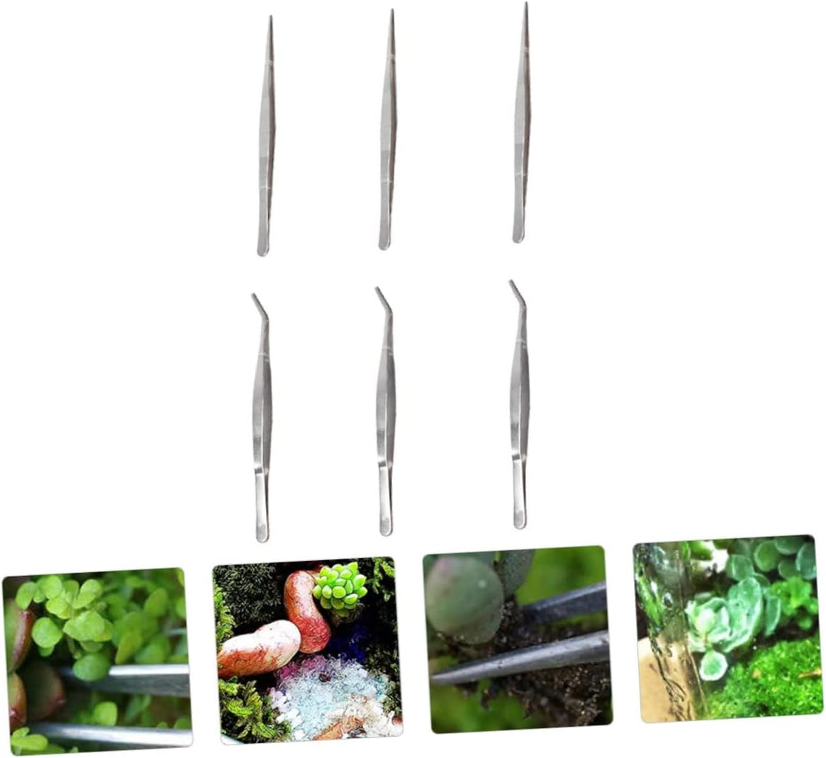 ARTIBETTER 6Pcs 304 Stainless Steel Tweezers Set for Gardening Succulent Bonsai Thickened Straight and Curved Tips, Sturdy Garden Hand Tools for Plant Care and Transplanting image number 4