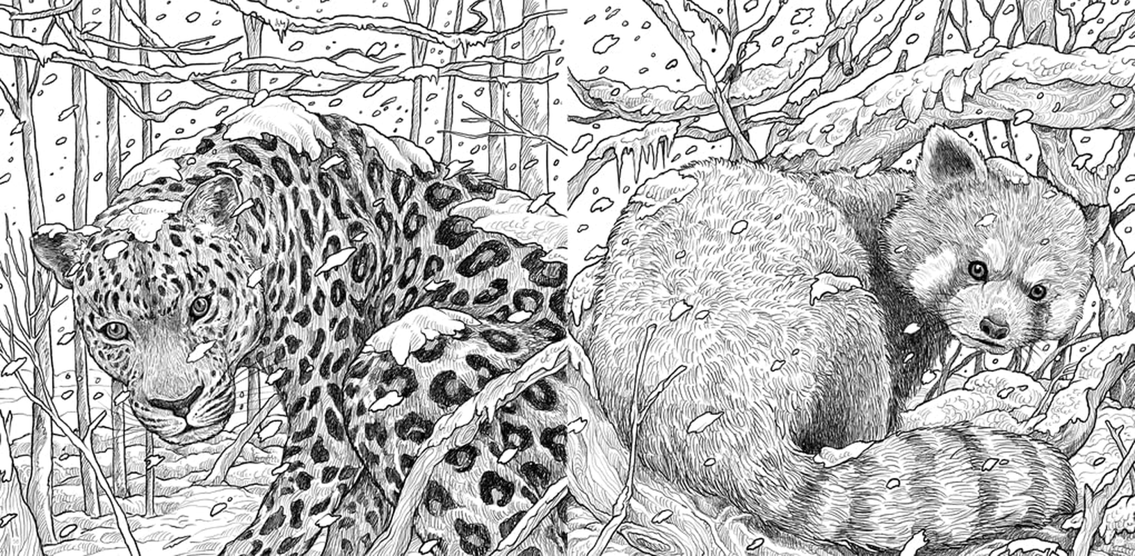 Fragile World: Colour Nature'S Wonders: Volume 2