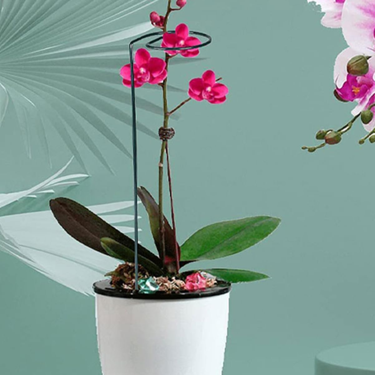 ORFOFE Trellis for Potted Plants Plant Trellis Indoor Garden Support Tall Stakes for Gardening