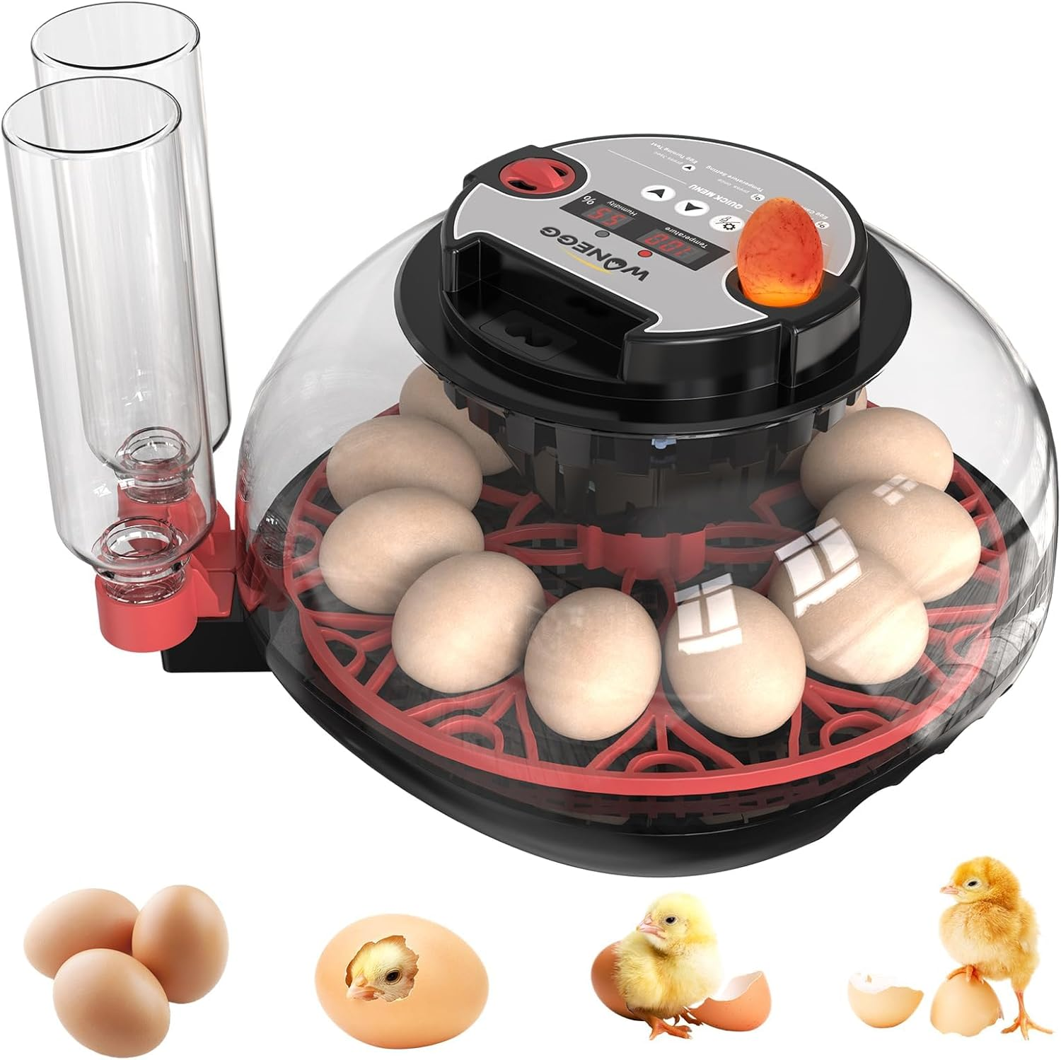 12 Egg Incubator for Hatching Chicken/Quail/Duck Eggs, Auto Turning, Digital Humidity/Temp Control, LED Candler, Auto Water Refill, 360&deg; View (Smart Sensor) image number 2