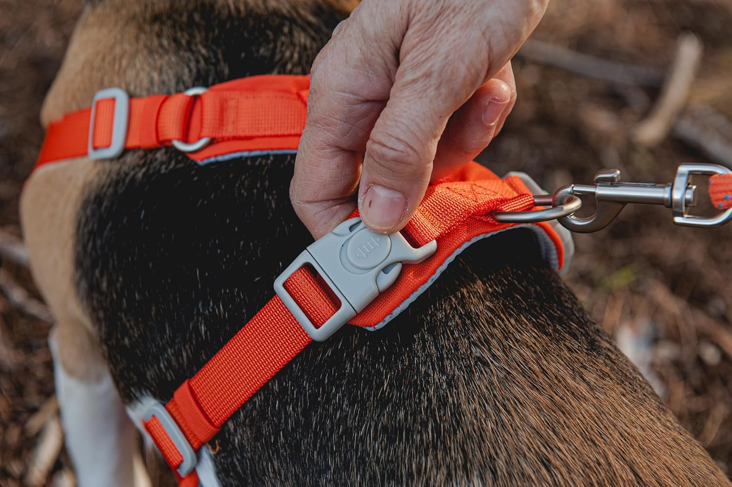 ARQUIVET Roma Dog Harness Pink M (49-68 Cm) image number 3