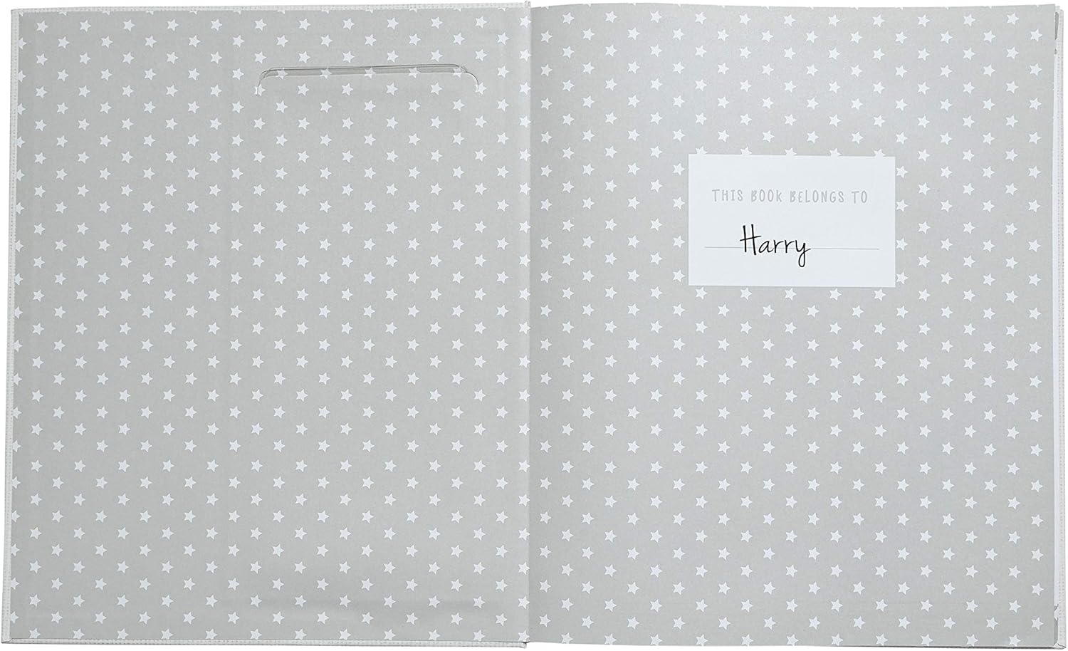 Kate & Milo Babybook and Ink Pad, Gender-Neutral Baby Keepsake, Baby'S First Year Milestone Moments, Gray image number 4