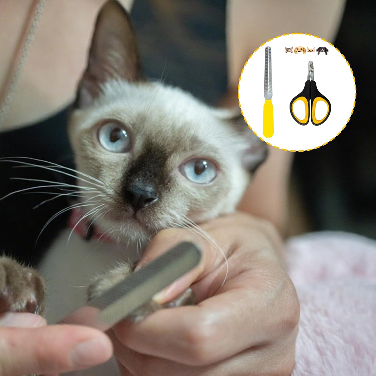 Cat Nail Clippers with Nail File, Stainless Steel Dog Claw Trimmer for Cats Dogs Rabbits Birds Small Animals, Pet Nail Clippers with Non-Slip Handle for Grooming Home Salon Vet Travel Essentials image number 5