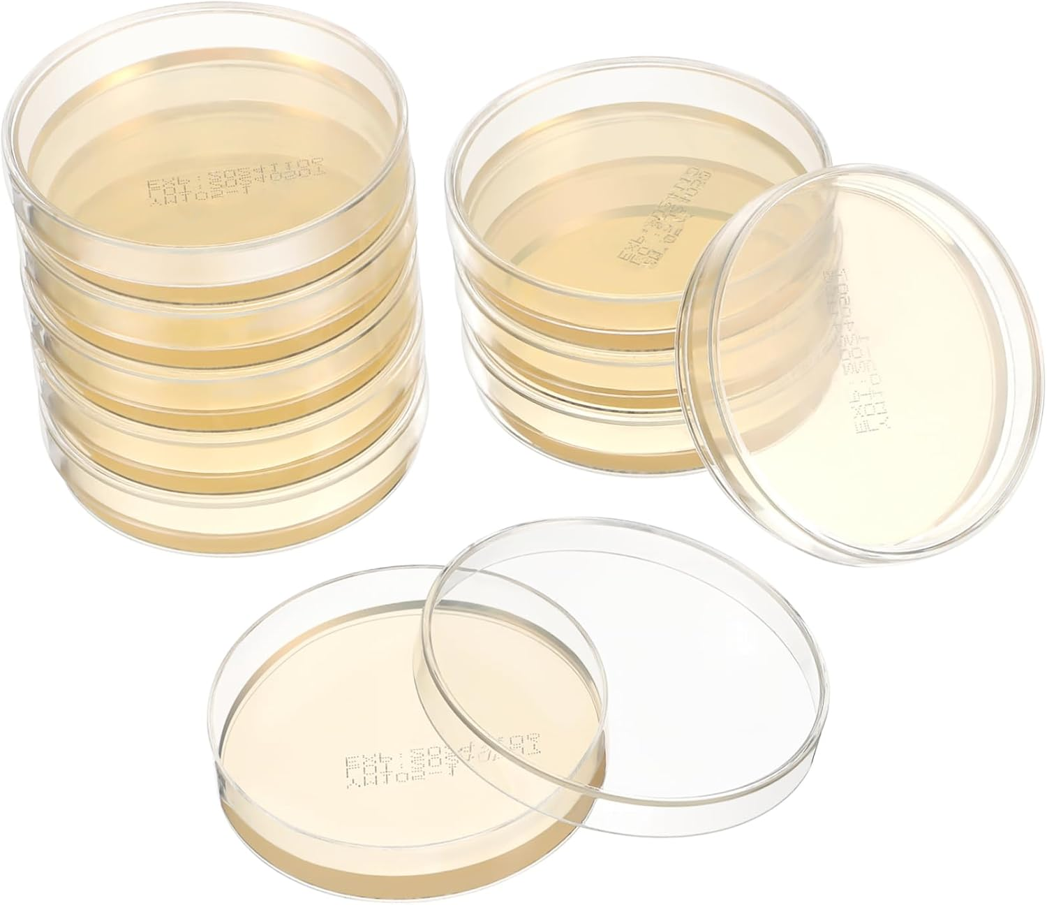 Didiseaon 10Pcs Pre-Poured Agar Plates Nutrient Agar Petri Dishes for Science Experiments Thick Agar for Growth Laboratory Supplies for Use Prepoured Petri Dishes image number 3