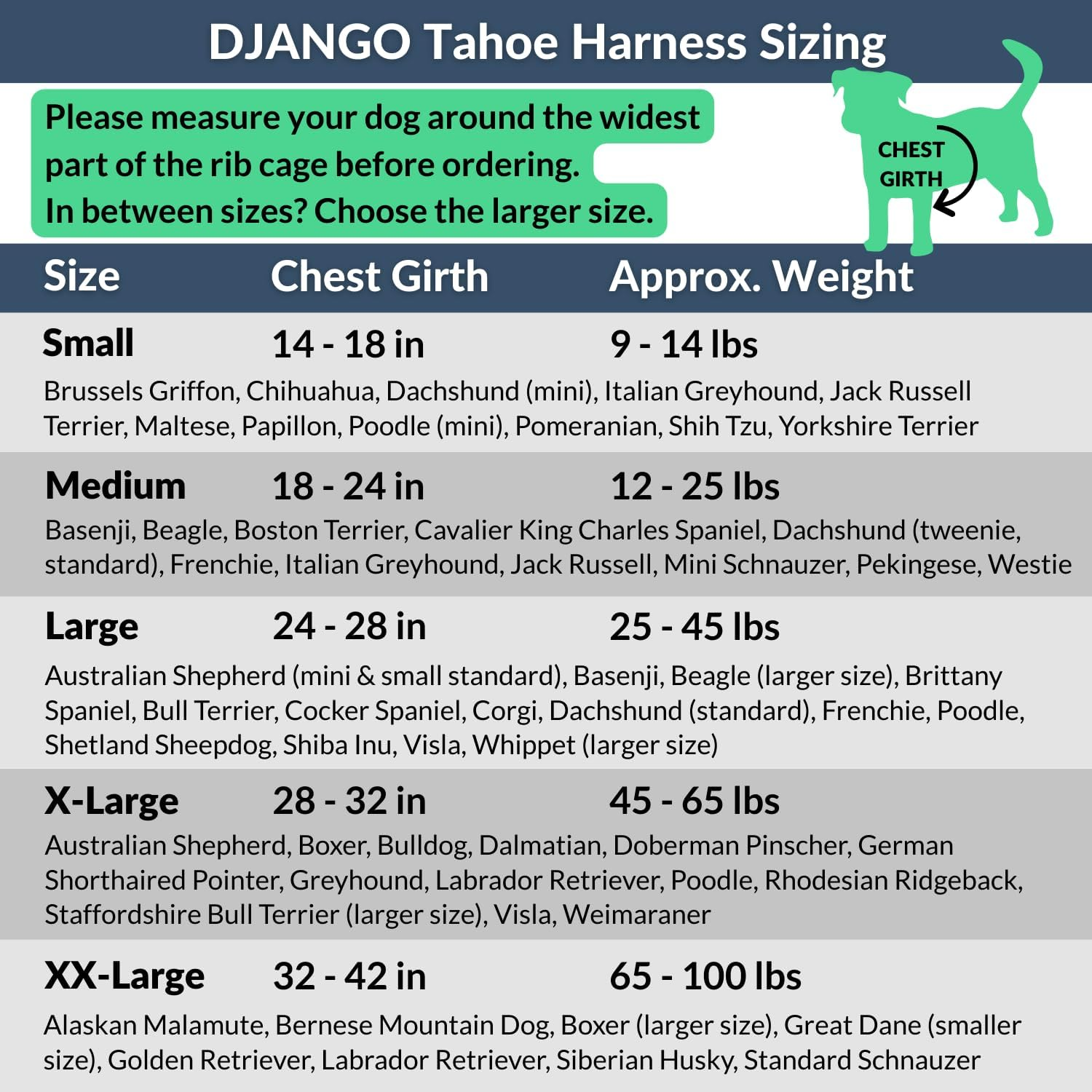 Django Tahoe No Pull Dog Harness &ndash; Comfortable, Durable, & Padded Dog Harness with Front & Back D-Rings &ndash; Adjustable & Secure Harness for Outdoor Adventures & Everyday Use (Alpine Blue, Small) image number 5