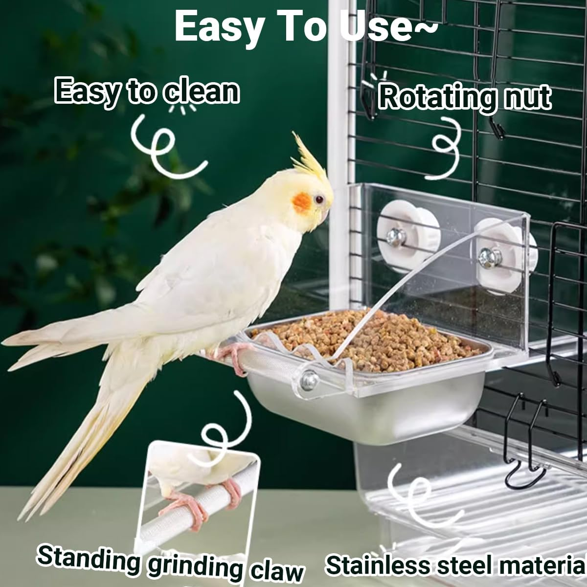 AIMALL Parrot Acrylic Stainless Steel Food Basin Box, Anti-Scattering Feeder with High Colour Value for Peony Xuan Feng Birds, Available in 3 Sizes image number 3