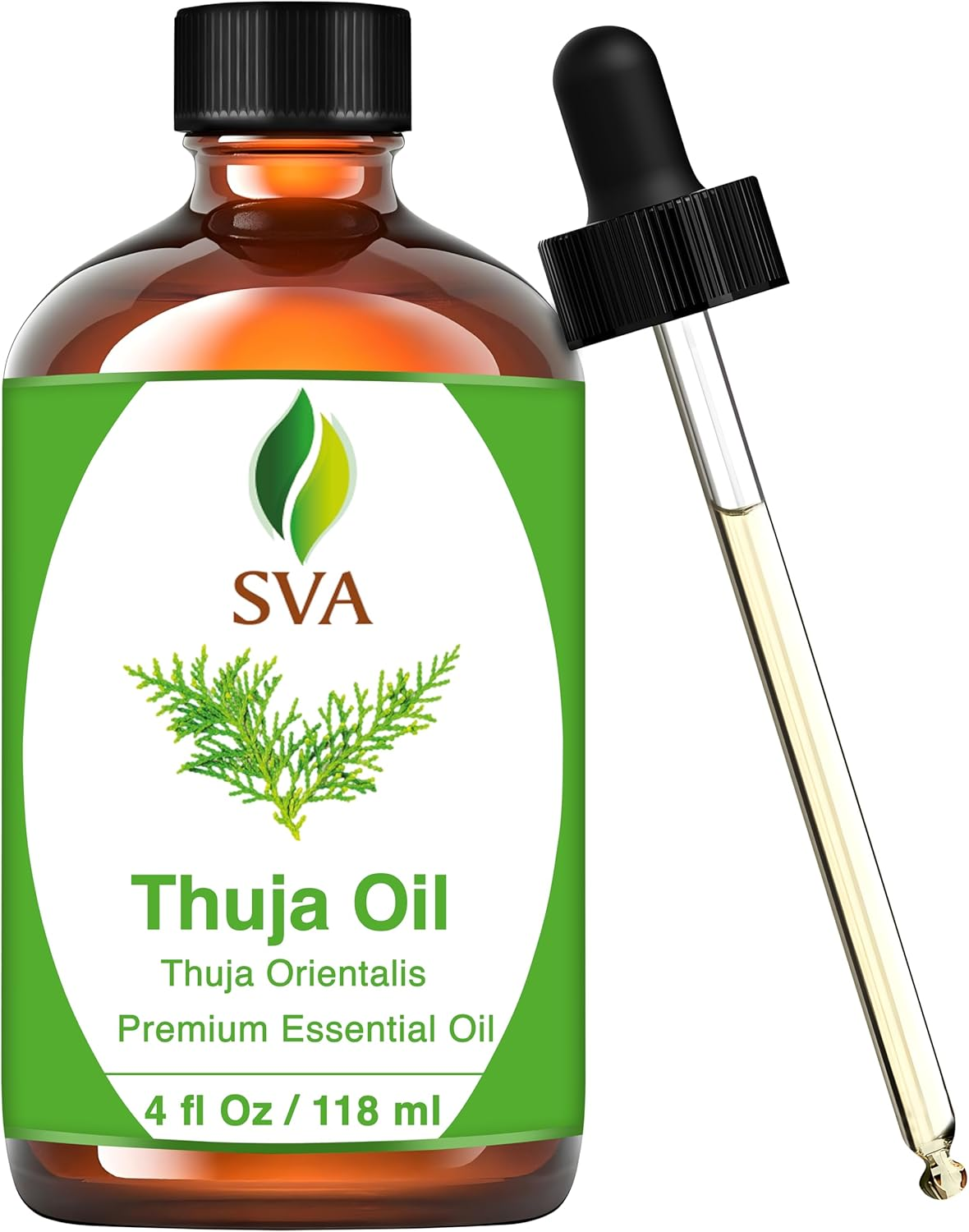 SVA Organics Thuja Oil (118 Ml) 4 Ozguranteed 100% Pure & Natural, Hexane Free, Authentic & Premium Therapeutic Grade Oil for Aromatherapy, Hair Care, Skin Care, Glowing Skin by SVA Organics image number 4