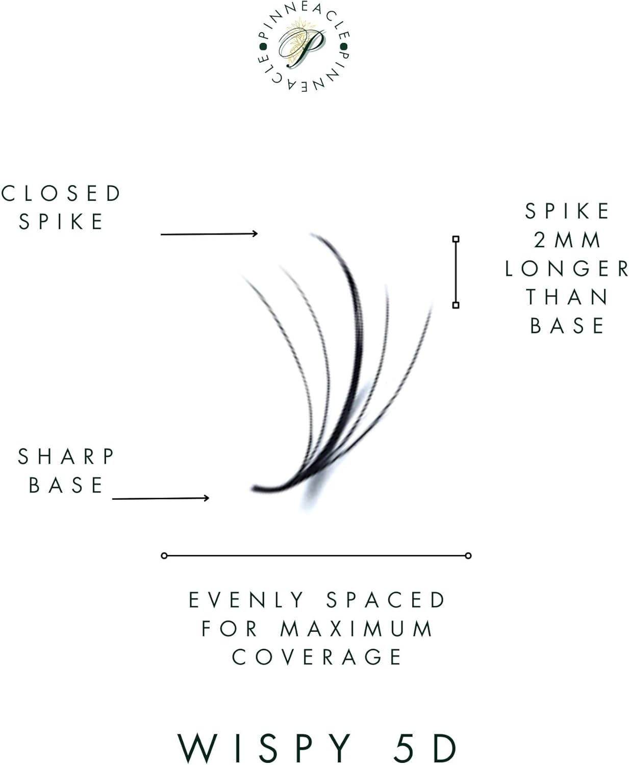 Promade Volume Fans | 1200 Fans | Premium Handmade Lashes for Professional Eyelash Extensions | Volume & Wispy Premade Fans | XXL Box - 40 Lines - 0.07 - C,CC,D,L,M Curl (Wispy 5D| D Curl | 10-13Mm) image number 2