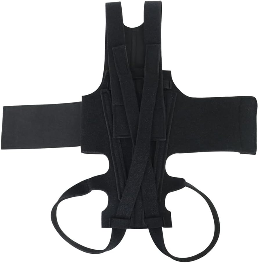 Dog Back Brace for IVDD, Back Brace Comfortable Full Body Harness Dog Clothing Dog Back Protector -L image number 4