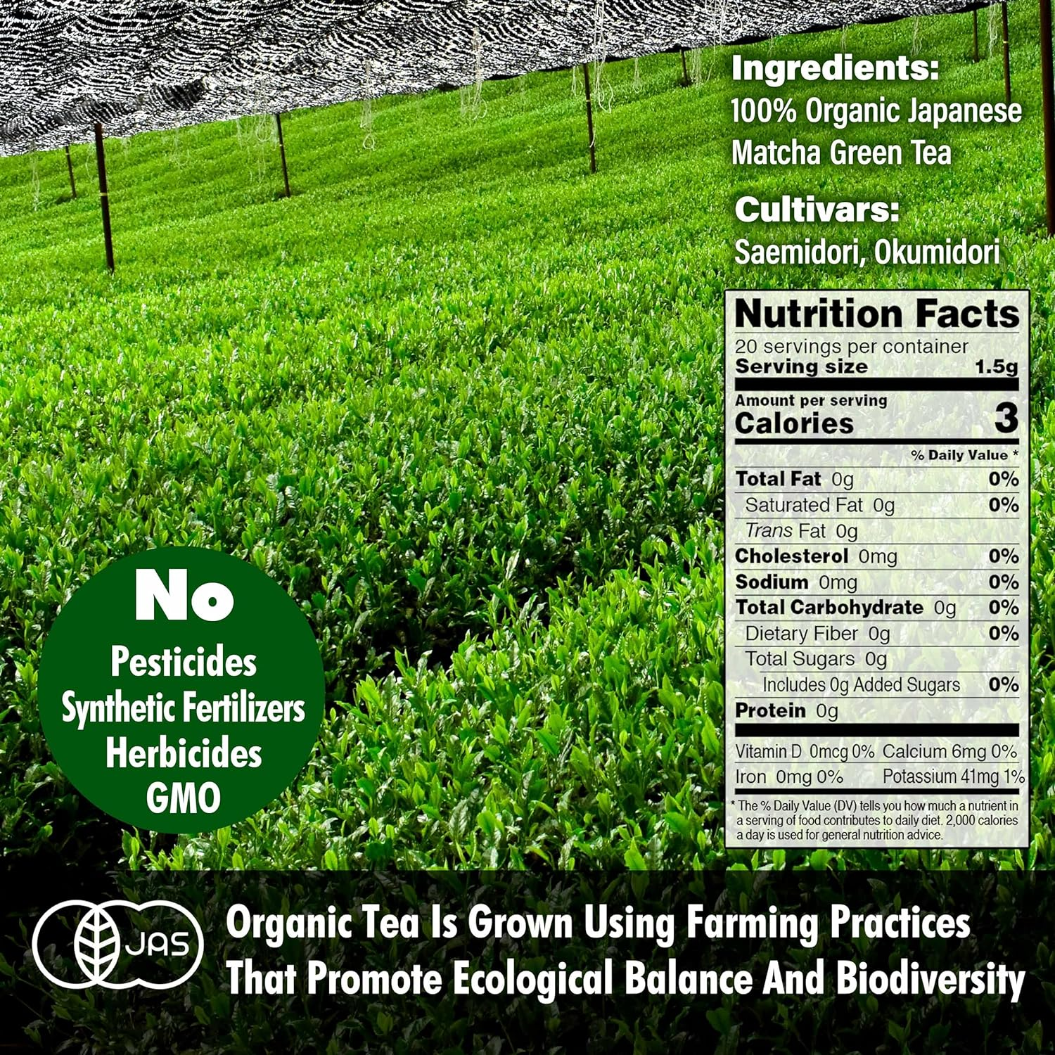 YAMASAN KYOTO UJI Japanese Ceremonial Grade Matcha, Matcha Green Tea Powder, 100％ Authentic Japanese Origin, from Uji Kyoto, Japan (30G) image number 2