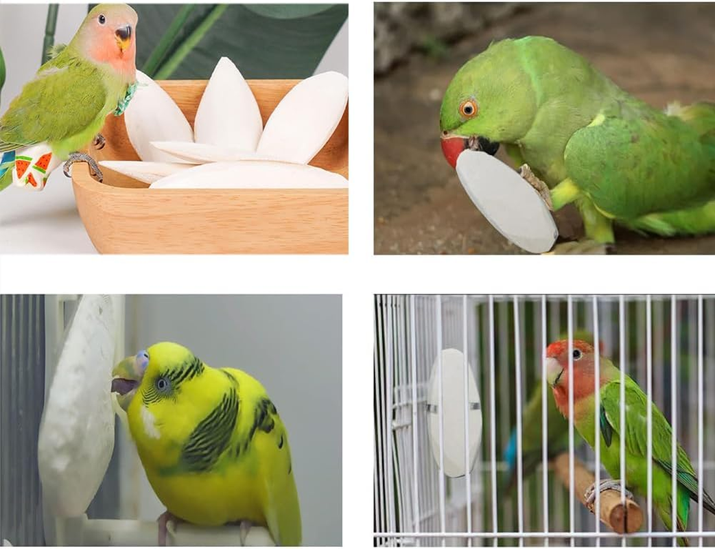 Natural Cuttlefish Bone 8 Pieces for Birds, Parrots and Turtles &ndash; Toys image number 2