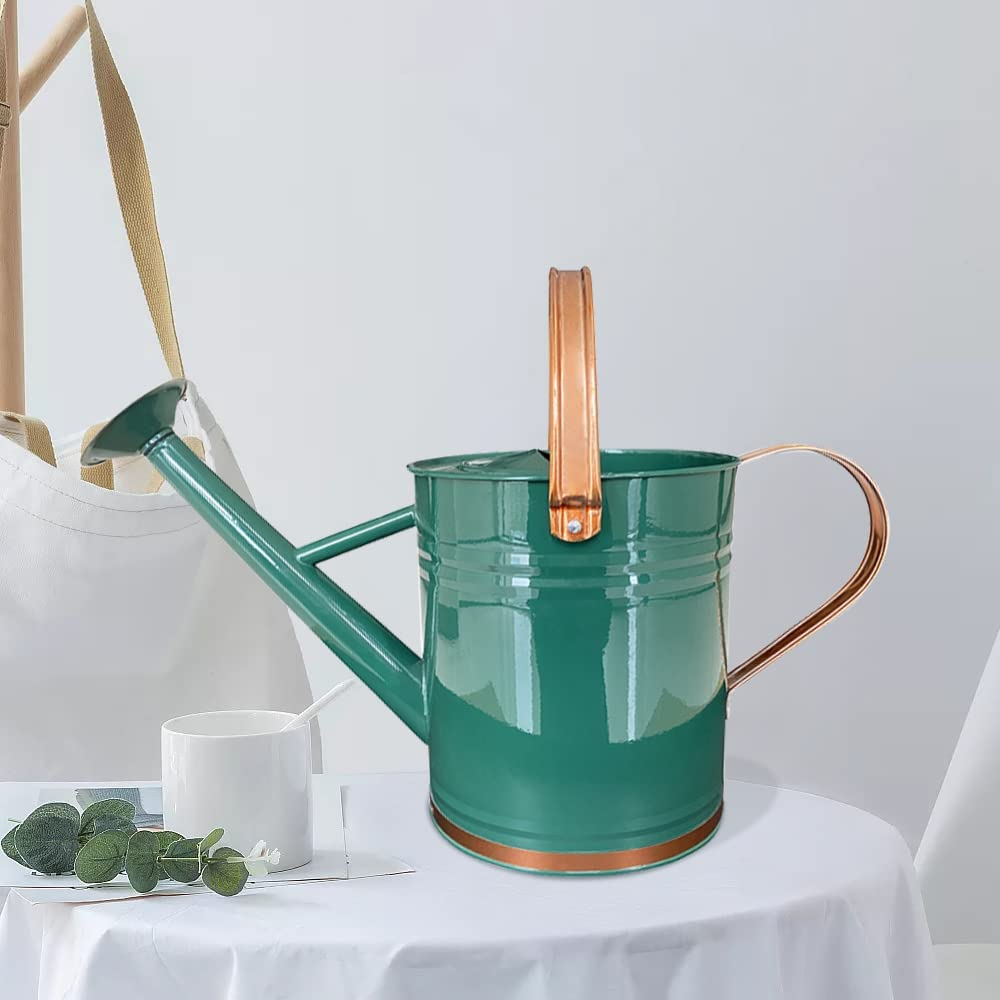 Metal Watering Can for Outdoor and Indoor Plants, Watering Can Decor, 1 Gallon (1 Gallon Green2) - 1 Gallon Black image number 3