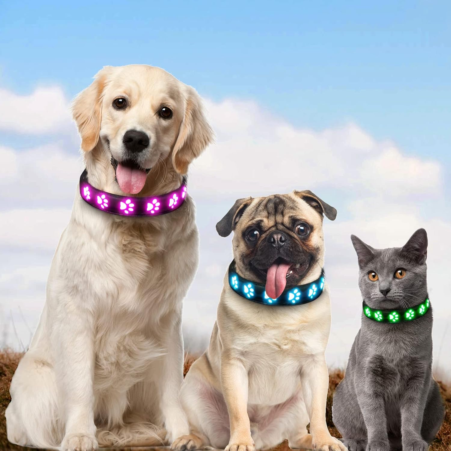 AUAUY Light up Dog Collar, LED Dog Collar Light USB Rechargeable, Waterproof Flashing PVC Leather Adjustable Glowing Super Bright Dog Light up Collar for the Dark Small Medium Large Dogs (Colorful-L) image number 6