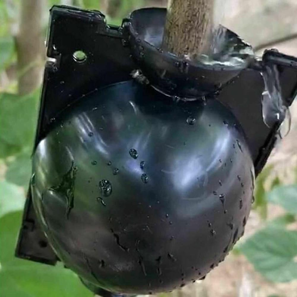 10PCS Plant Rooting High Pressure Propagation Ball Root Grow Grafting Box for Indoor and Outdoor Plants, Reusable Root Grow Box (S-5CM) image number 1