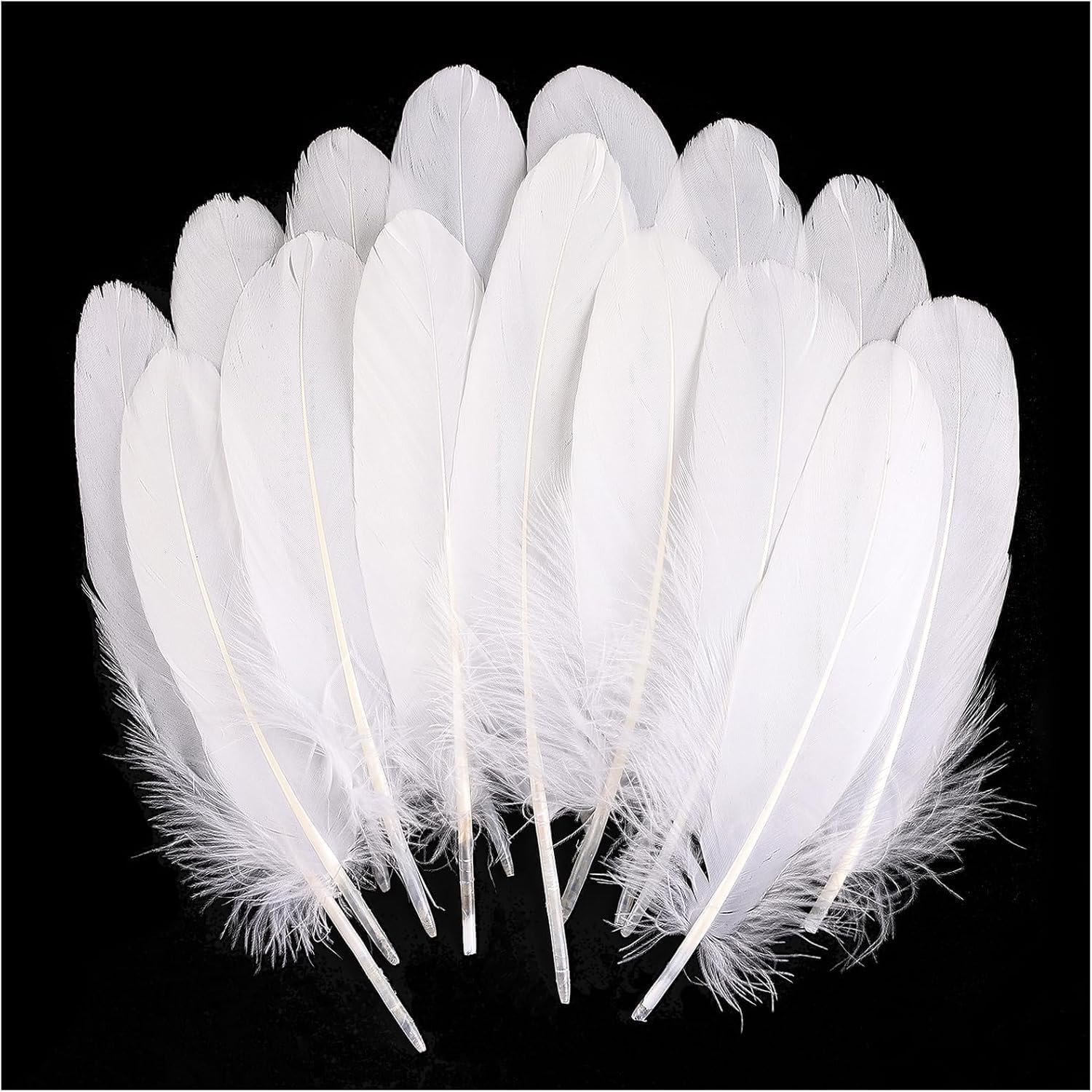 Acemedia 120Pcs White Goose Feathers Natural Bulk 6-8 Inch 15-20Cm for Crafts DIY Cosplay Wedding Party Halloween Decoration Goose Nagoire Feathers (White)