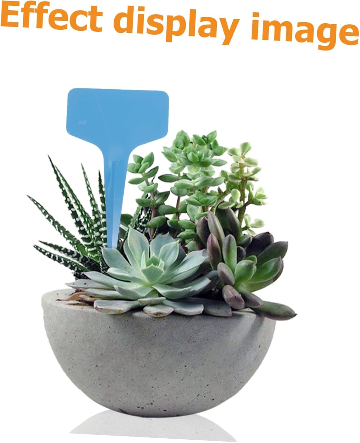 BEBEMOKO 100Pcs Shaped Plant Labels for Garden Nursery Tags for Easy Plant Identification Outdoor and Indoor Herb Flower Vegetable Gardening image number 5