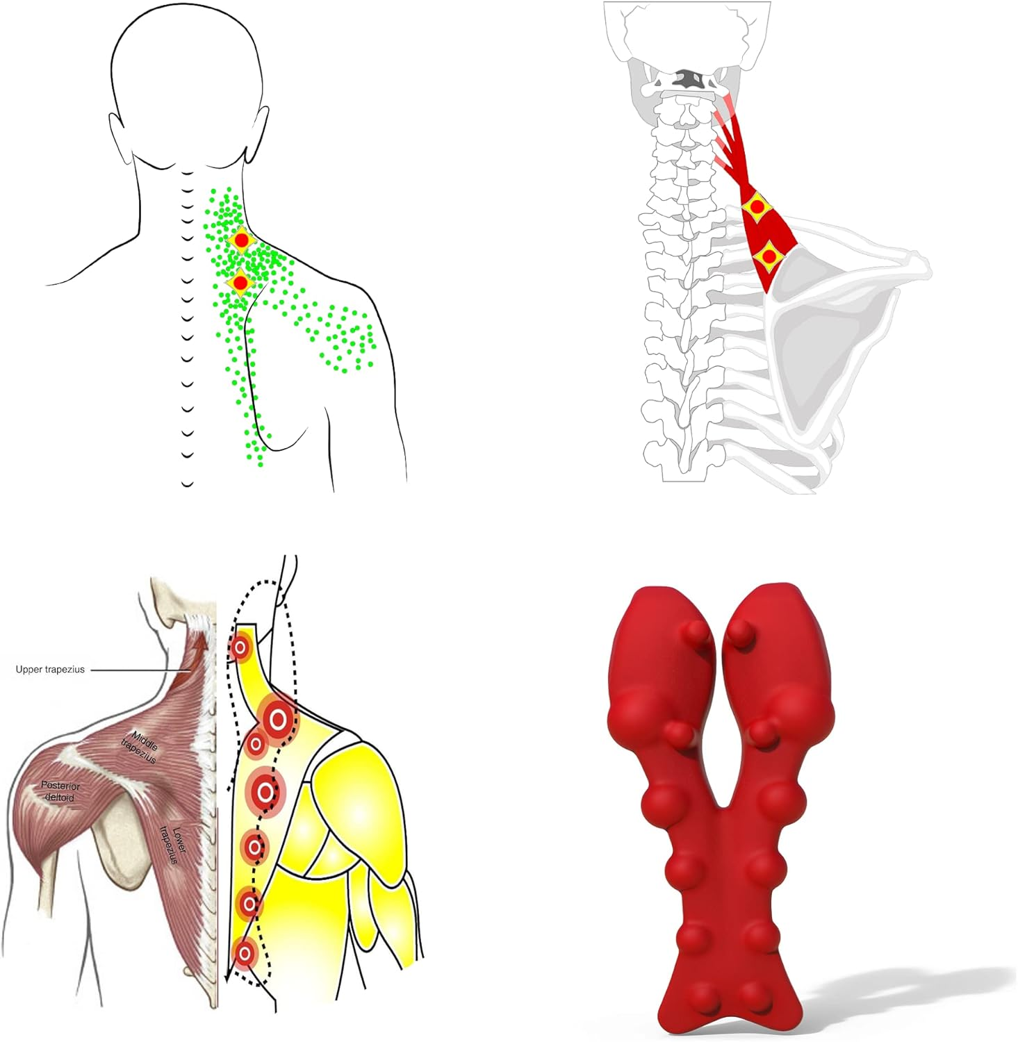Littlemum Neck Massager Trapezius Trigger Point Massager Myofascial Release for Neck Pain Relief Shoulder Pain Relief