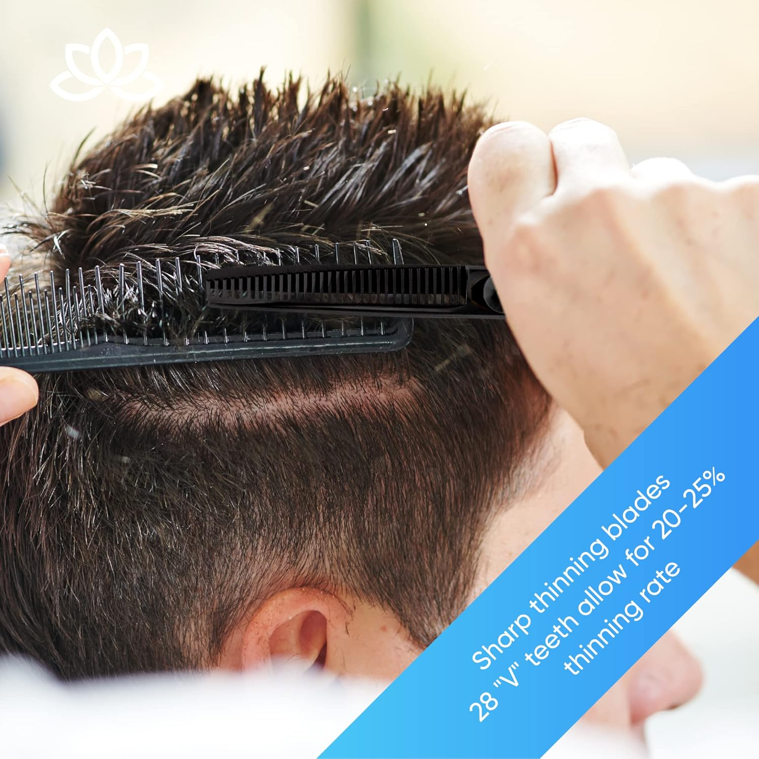 Equinox International Professional Razor Edge Series Hair Cutting Scissors Set - Barber & Thinning Shears/Texturizing 6.5 Inches for Men/Women/Kids/Salon Home (Black)