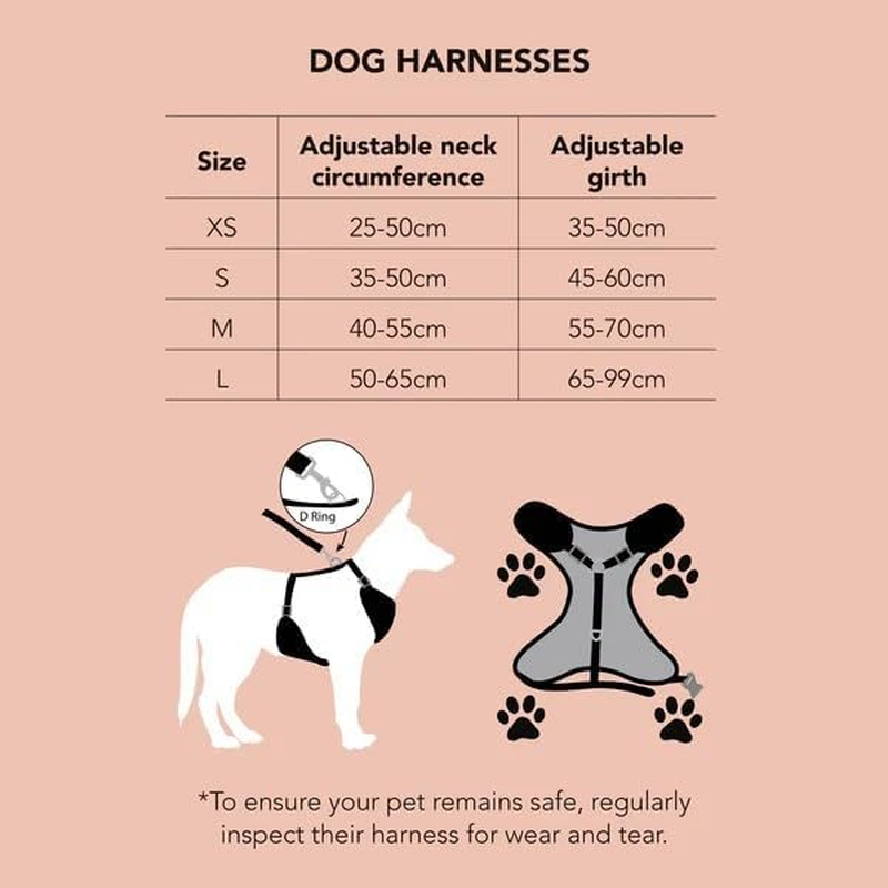 Dan & Sam Dreamer Dog Harness, Small - Adjustable & Breathable - Comfortable Fit, Durable Material, Easy Control & No-Pull Design - Ideal for Active Dogs