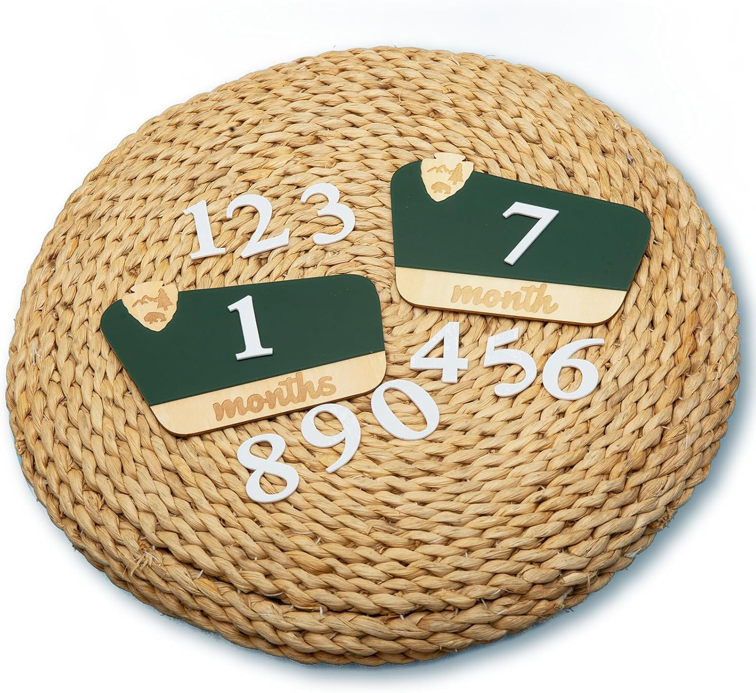 National Park Baby Milestone Markers - Wooden Monthly Signs for 1-12 Months, Interchangeable Nature-Themed Growth Tracker, Rustic Nursery Decor, Woodland Baby Announcement Board, Photoshoot Props