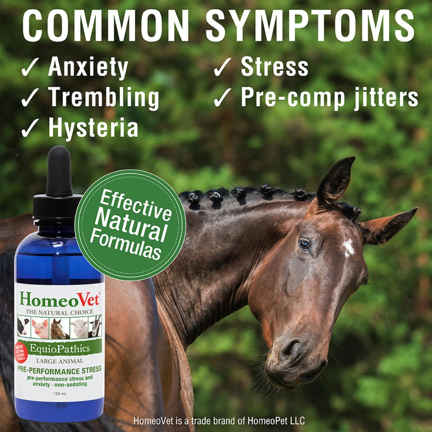 Homeovet Equine Pre Performance Stress 120 Ml - Horse Calming Behavioural Aid for Relaxation before Specific Events. for Horses with Anxiety Pre Event, Stable Changes and Other Stressful Situations image number 4