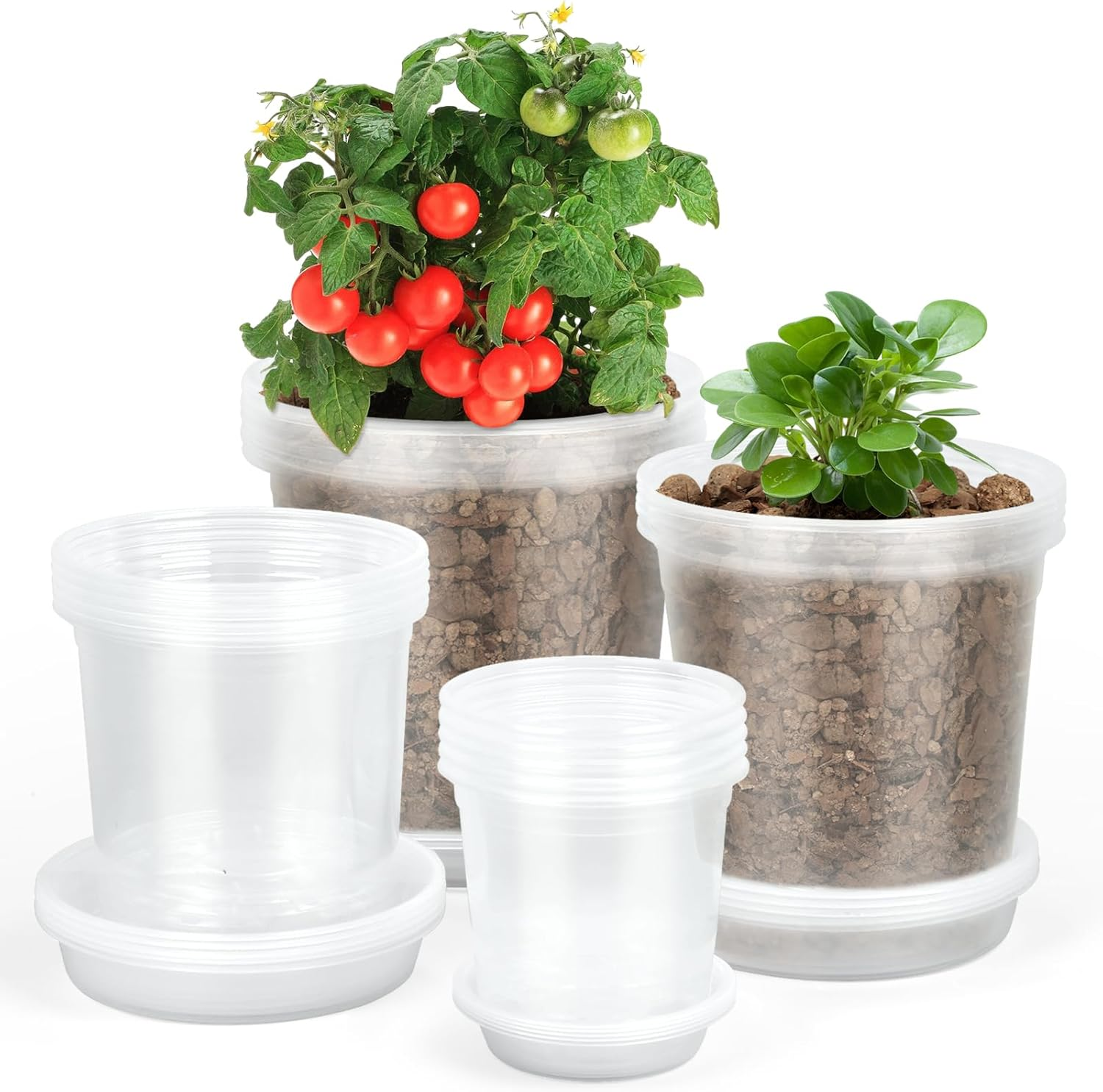 TAQIXI 3/4/5/6 Inch Clear Nursery Pots with Drainage Holes and Saucers, 20 Pack Clear Plastic Plant Pot, Plant Pot Seed Starter Pots for Succulents image number 3