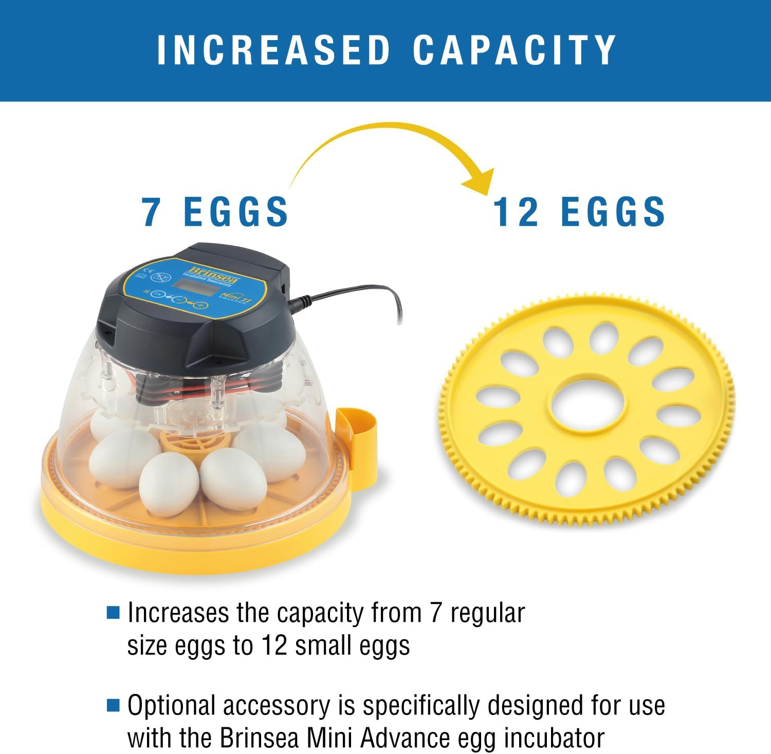 Brinsea Products Optional Egg Insert to Hatch 12 Small Eggs in the Advance Incubator, Mini image number 5