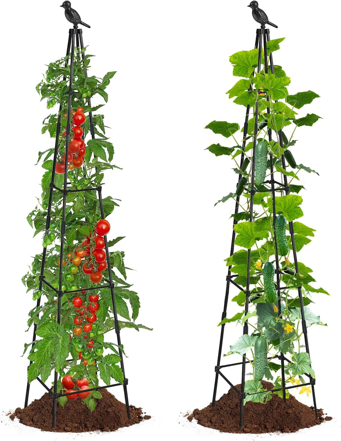 Trellis for Climbing Plants Outdoor, 2 Pack Plant Trellis Support for Climbing Vine, Plant Support Tower Cages Plastic Coated Metal Pipe Supports for Outdoor Indoor,Tomato Cage (Black, 6 FT) image number 4
