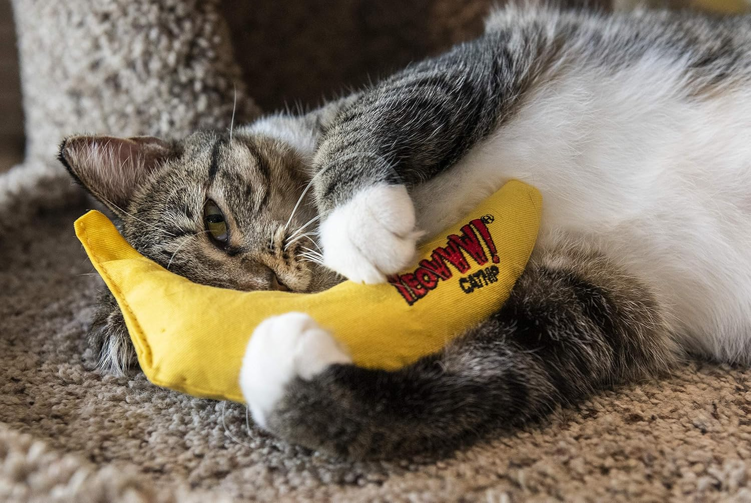 YEOWWW Catnip Cat Toys Banana and Sardine Stinkies Fish Strong Catnip Cat Toys Premium Quality Cat Toy Bundle for Indoor and Outdoor Cats (1 X Banana 3 X Stinkies) image number 2