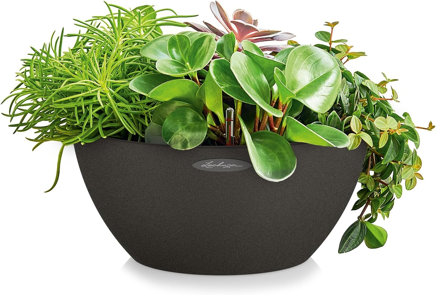 Lechuza Cubeto Color 30 All-In-One Bowl Shape Planter, Black image number 5