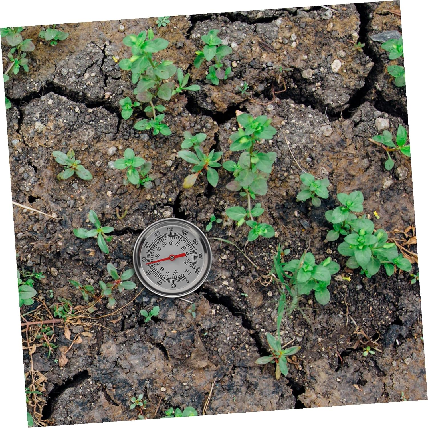 Mipcase Long Stem Soil Thermometer with Extra-Long Stainless Steel Probe Fast Response Temperature Measuring Tool for Gardening and Compost Precise Soil Temperature Gauge image number 3