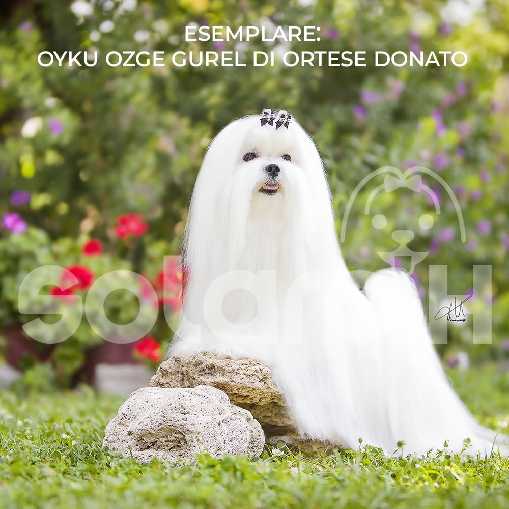 Solaro H Guaina Ricostituente Conditioner for Dogs 250 Ml Detangler Nourishing and Polisher