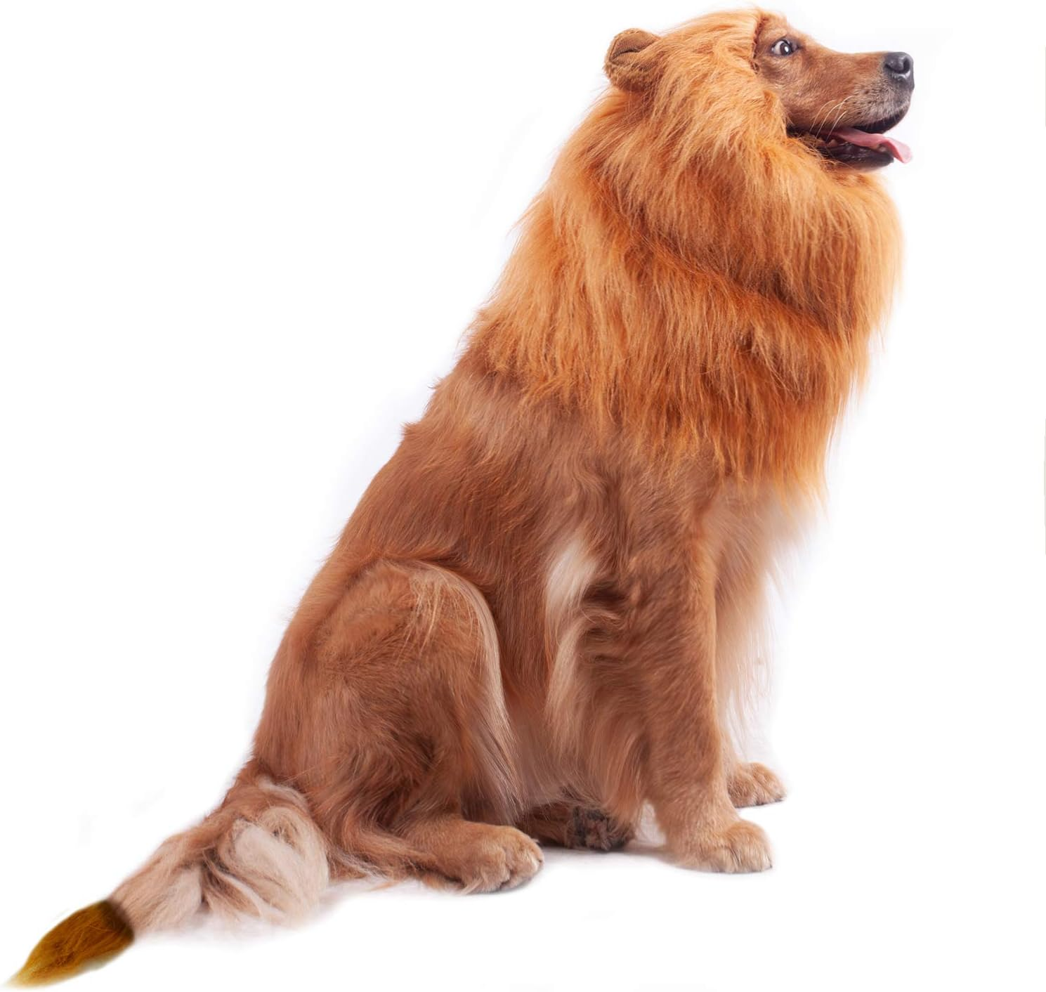 GALOPAR Lion Mane for Dogs Realistic Lion Wig Dog Lion Costume, Halloween Christmas Funny Dog Costumes Photo Shoots Entertainment, Suitable for Medium and Large Sized Dogs image number 3