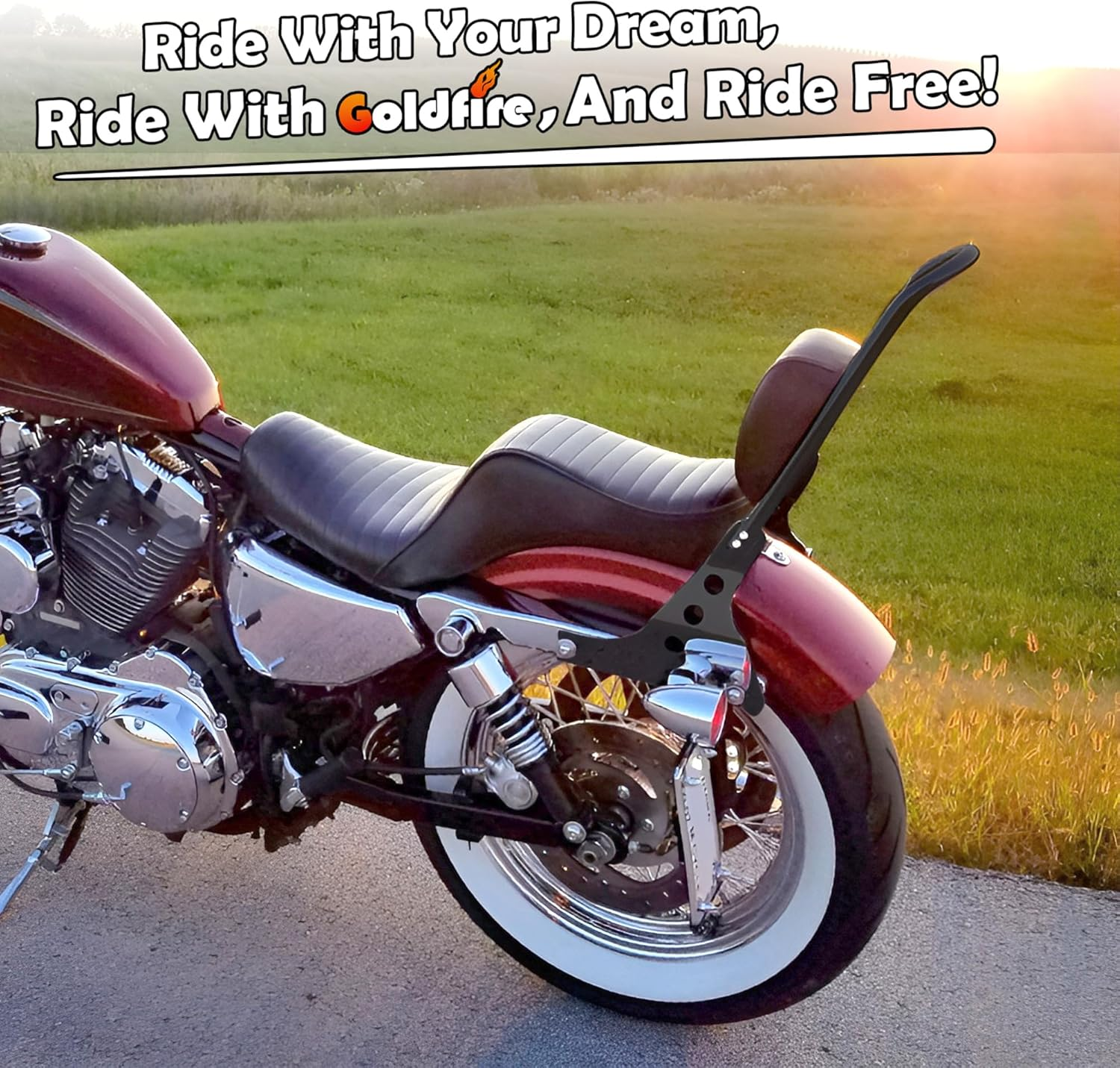 Goldfire Motorcycle Sissy Bar Detachable Rear Passenger Upright Backrest W/Cushion Pad for Harley Sportster XL 883 1200 2004-Up image number 3