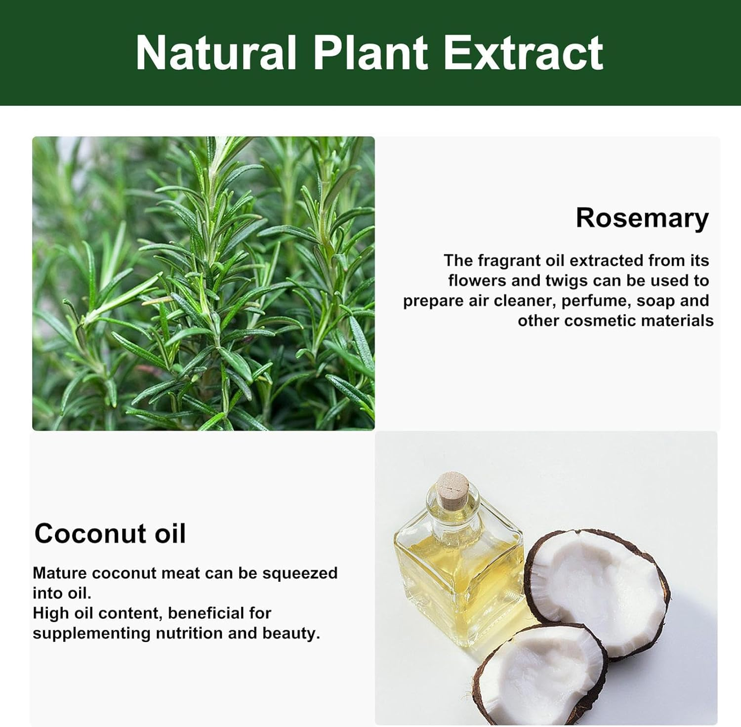 Rosemary Hair Oil - Rosemary Essential for Hair Growth | Natural anti Hair Loss Rosemary Oil Stimulates Growth, Dry Scalp Care, Nourishes & Improves Circulation, Get Rid of Dryness Maijia image number 6