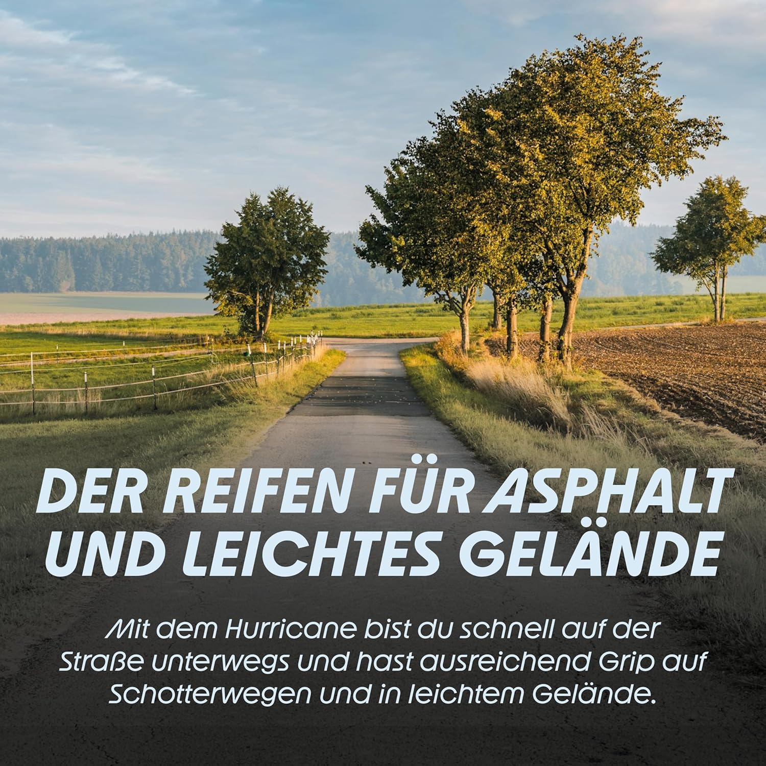 Schwalbe Hurricane Performance Drahtreifen // 50-622 (29X2,0') image number 5