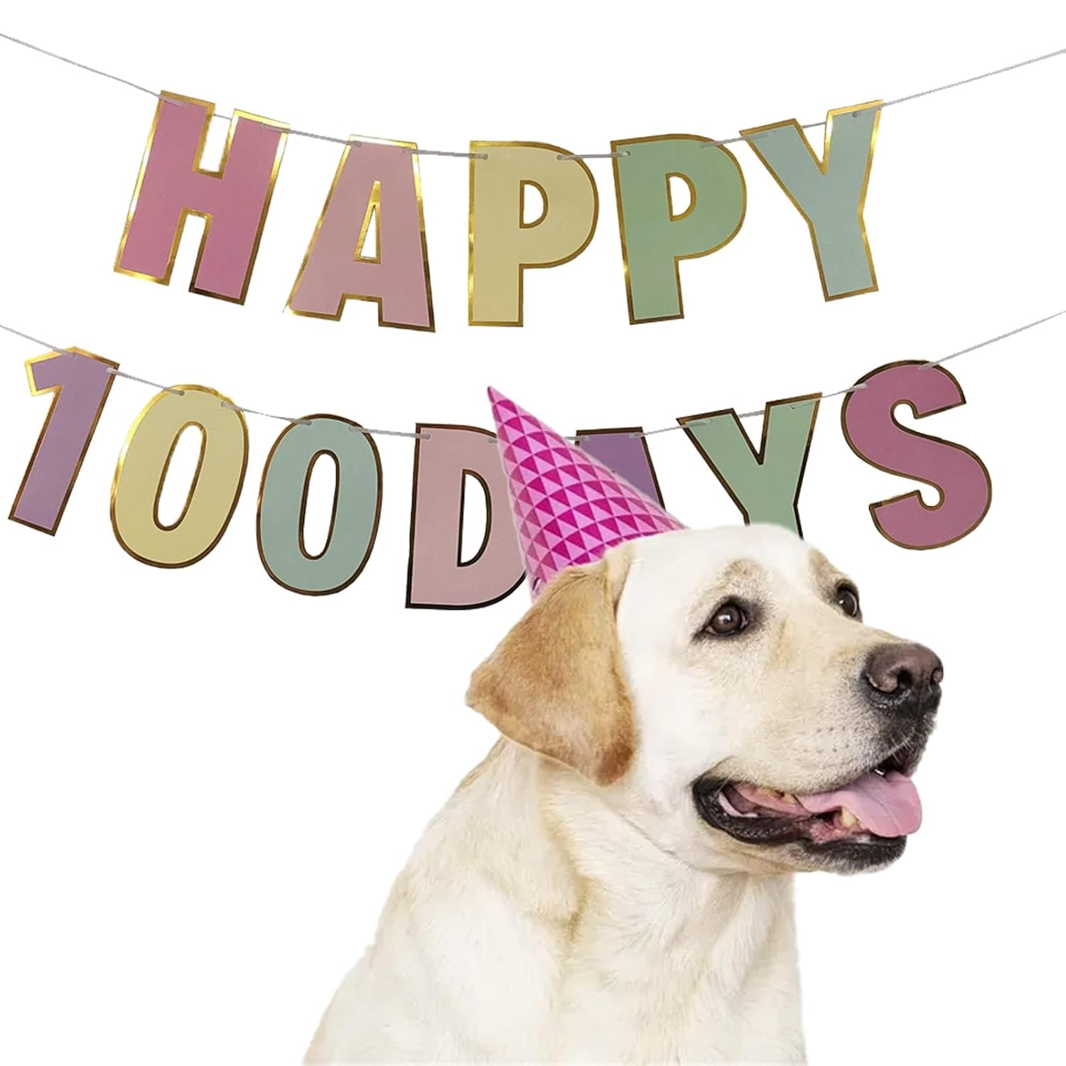 Happy 100 Days Banner Celebration 100 Day of School Banner Happy 100 Birthday Days Decor Wedding Celebration Party 100 Days Theme Party Decoration Colorful Letters Banner for Baby (Macaron 100 Day) - Macaron 100 Day image number 6