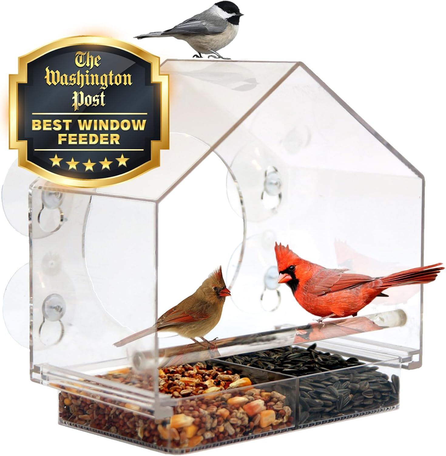Nature Anywhere Transparent Acrylic Window Bird Feeders for Outdoors - Enhanced Suction Grip, Bird Watching for Cats, Easy-To-Clean, Outdoor Birdhouse Feeder