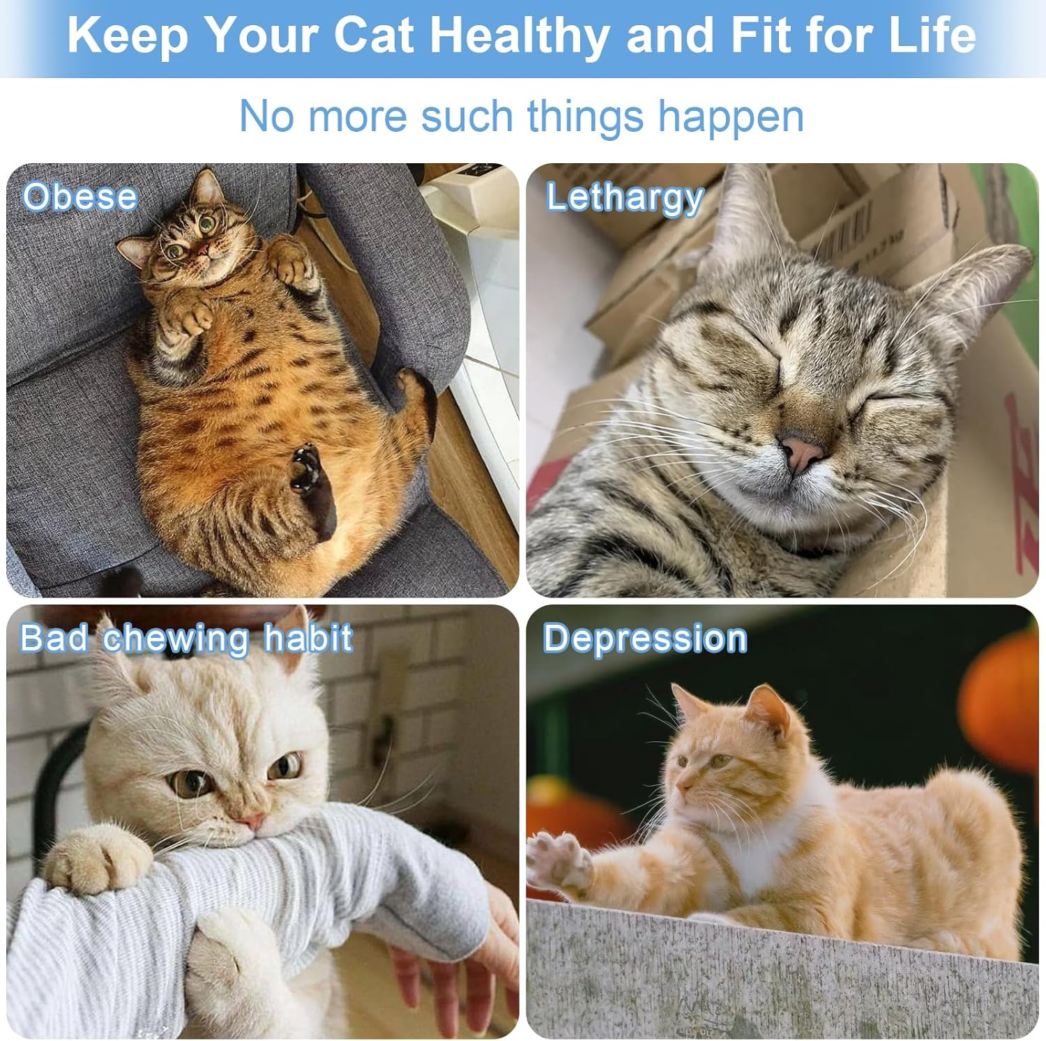 Amaxiu Cat Rainbow Wand Toys, 3Pcs Interactive Cat Teaser Wand String Toys for Indoor Gradient Color Ribbon Charmer for Kittens Exerciser Playing Teaser Training Catcher(Style A) image number 4