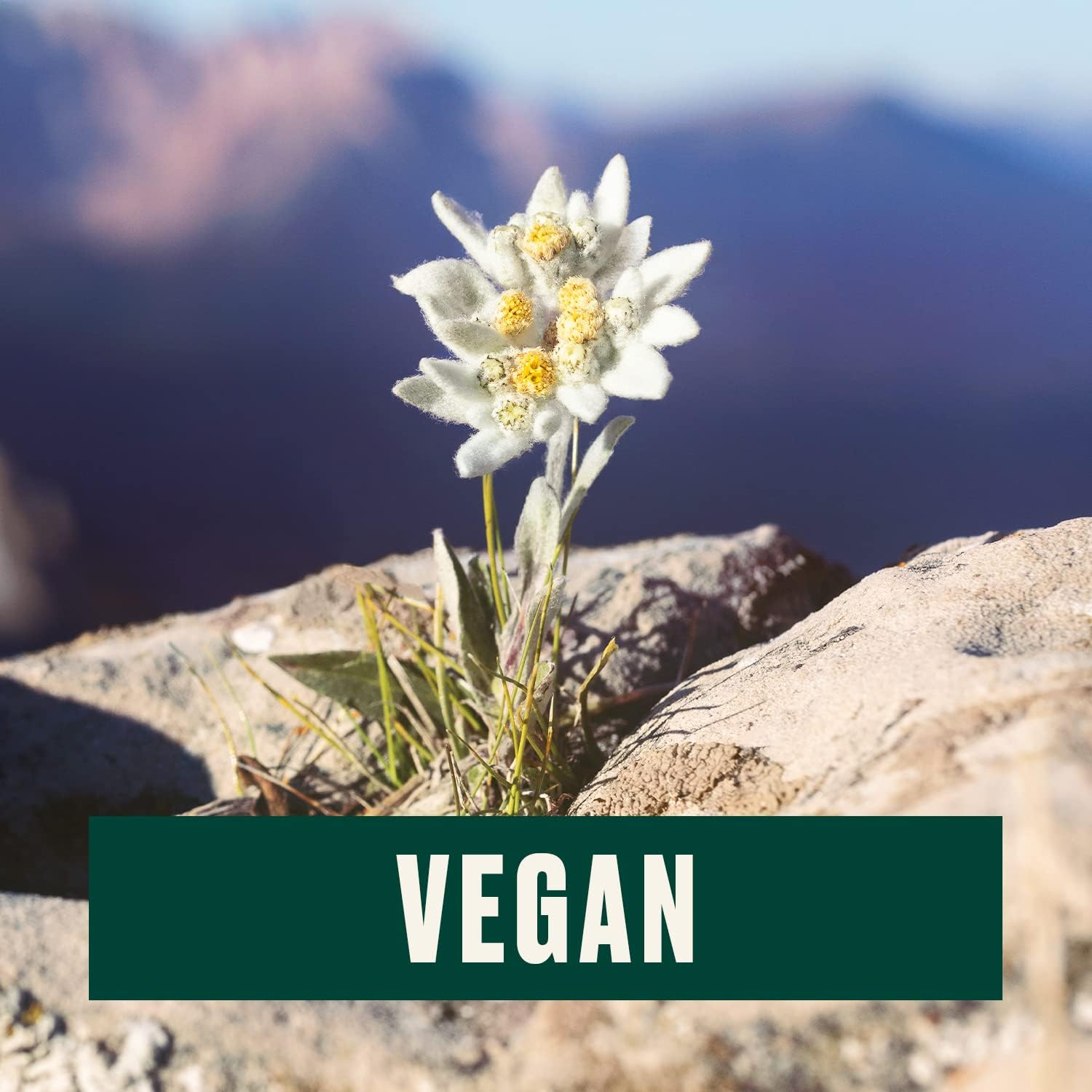 Exfoliating Facial Gel the Body Shop Edelweiss 100 Ml image number 1