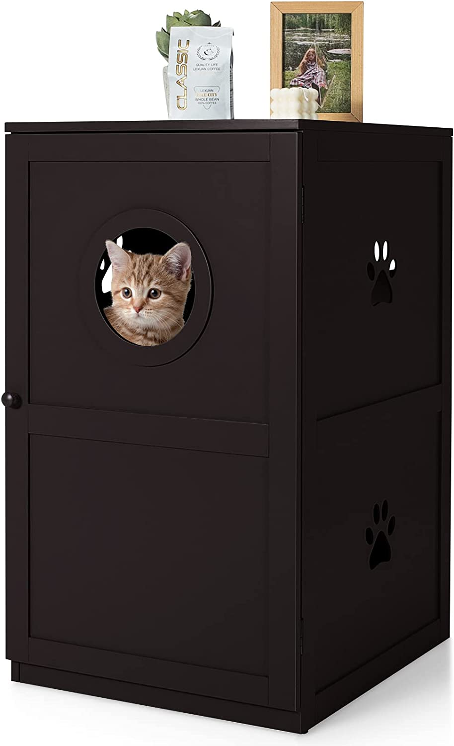 Costway 2-Tier Litter Box Enclosure, Cat House Bench W/Anti-Toppling System & Openable Door, Privacy Cat Washroom W/Multiple Vents & Entrance Hole, Side Storage Cabinet, Home, Pet Store (Black)