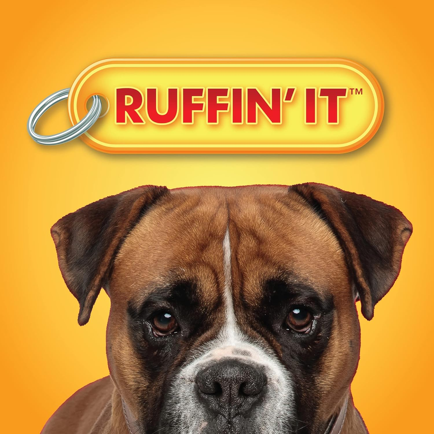 Woodlands Small Plush Squirrel Dog Toy- image number 4