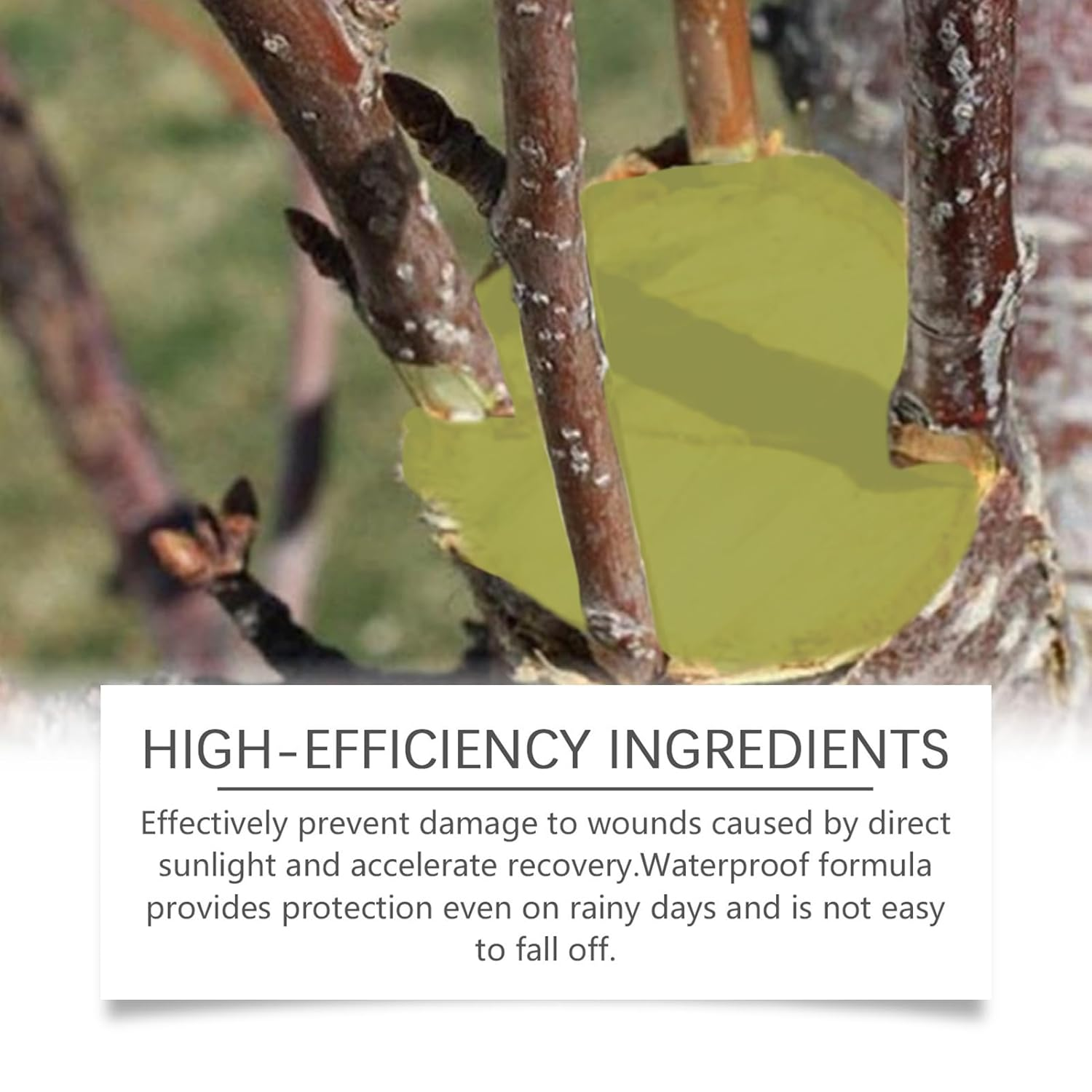 Grafting Tree Sealer,Pruning Cutting Tree Plant Sealer | 500G Shrubs Dressing with Brush, Weatherproof Trunk Branch Supplies for Farming Orchard Home Gardening Backyard image number 4