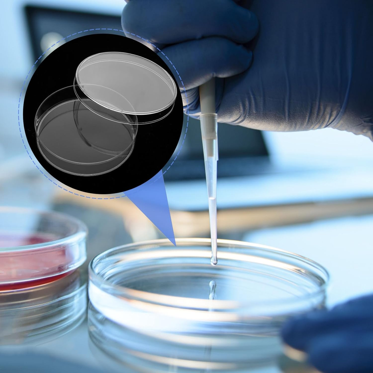 Plastic Petri Dishes with Lid - 20Pcs Agar Plates, Clear Empty Dish for School Science Project Microorganisms Cell Yeast - Petri Dishes with Lid Bulk Suite - 70Mm X 15Mm image number 2