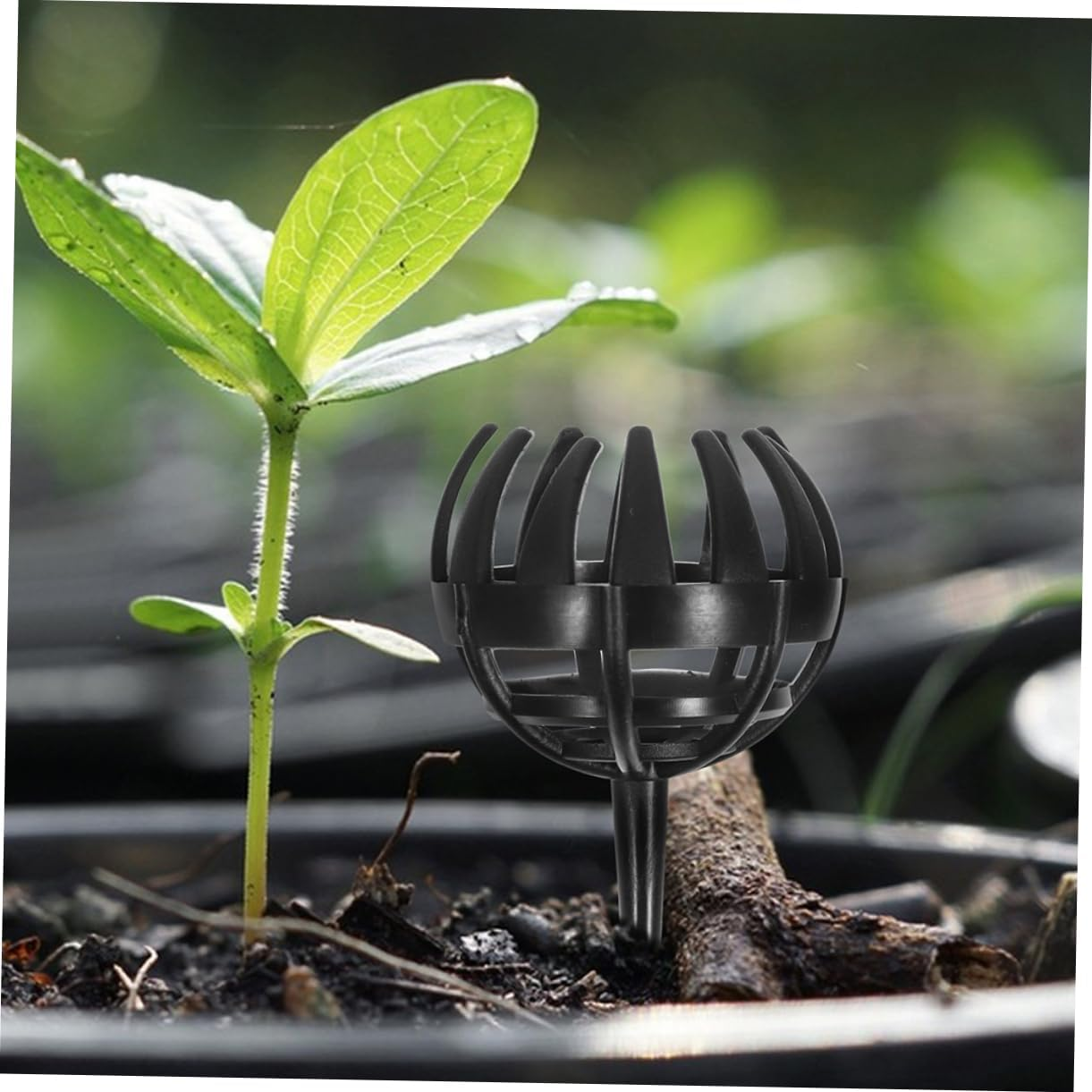 SEWOART 10Pcs Bonsai Fertiliser Basket Lids Slow Release Fertiliser Baskets for Plants Plastic Fertilizer Holder Garden Supply image number 6