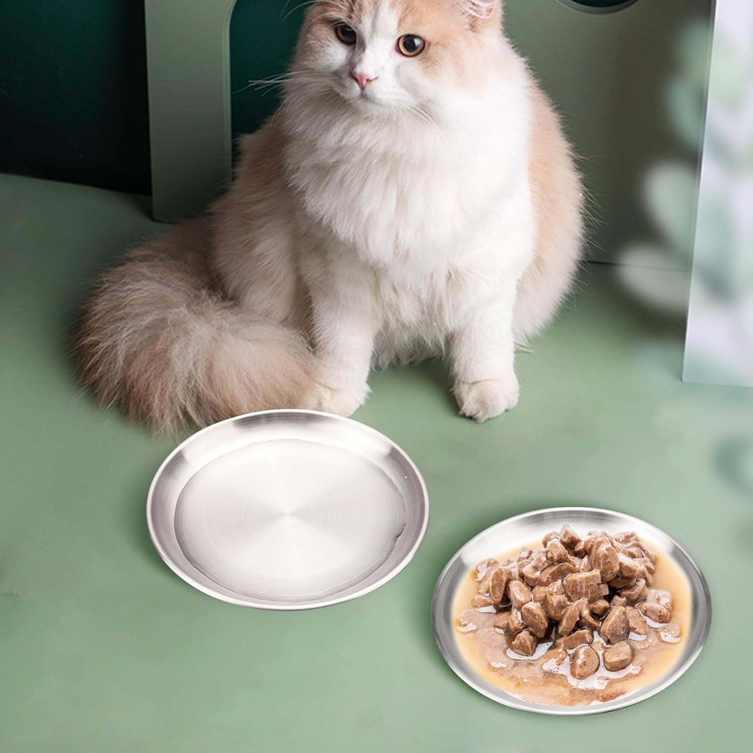 3 Sets of Stainless Steel Cat Bowls Whisker Friendly with Non Slip Silicone Placemats, Shallow Kitten Food Bowl Cat Plates for Wet Food, Suitable for Cats Small Pets (Silver) image number 6