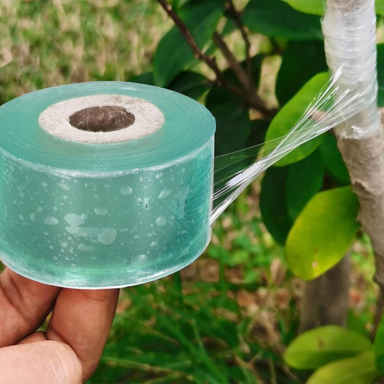 Grafting Tape 2 Pack Plants Repair Budding Tapes, PVC Stretchable Garden Grafting Tape, Stretchable Floristry Film, Plants Repair Tapes for Floral Fruit Tree and Poly Budding Tape image number 4