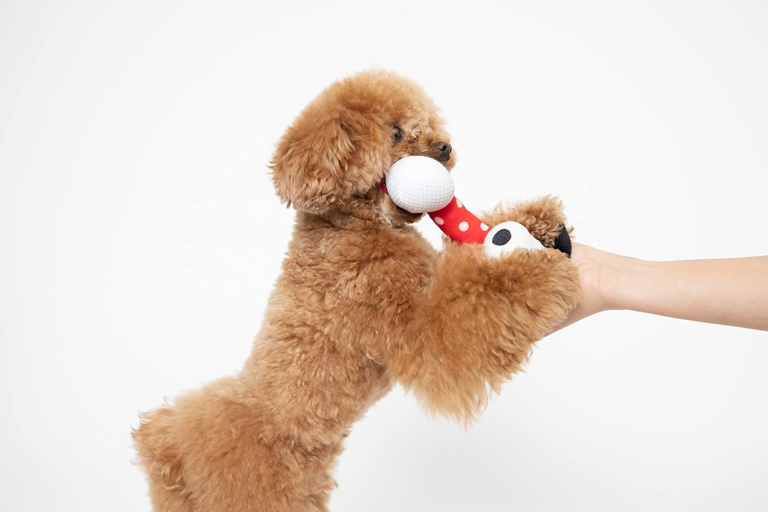 PEANUTS Sound Toy Snoopy Carakara Toy for Dogs image number 4